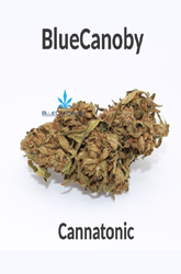 BlueCanoby CBD-Blüten - Cannatonic