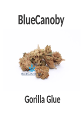 BlueCanoby CBD-Blüten - Gorilla Glue