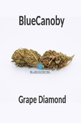 BlueCanoby CBD-Blüten - Grape Diamond