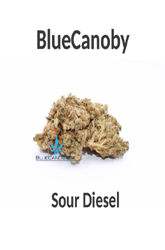 BlueCanoby CBD-Blüten - Sour Diesel