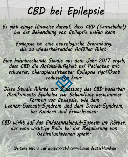 Kann CBD bei Epilepsie helfen?