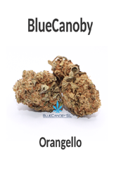 BlueCanoby CBD-Blüten - Orangello